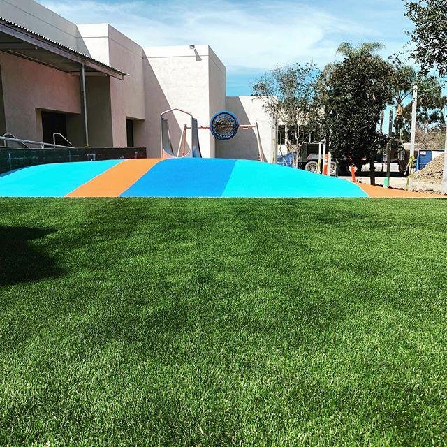 Photo of Alpha Turf