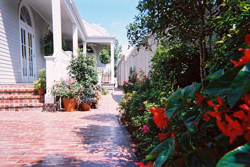 Photo of Exterior Designs Inc by Beverly Katz