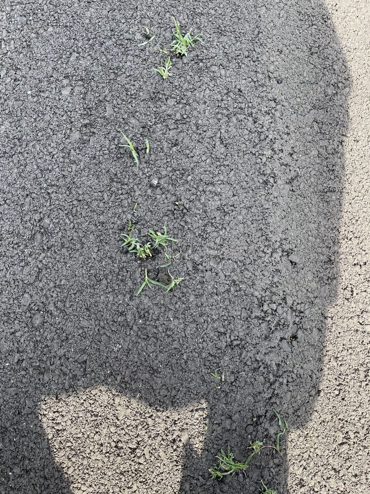 Photo of Priority Paving