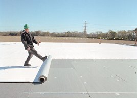 Photo of Roof Rescue