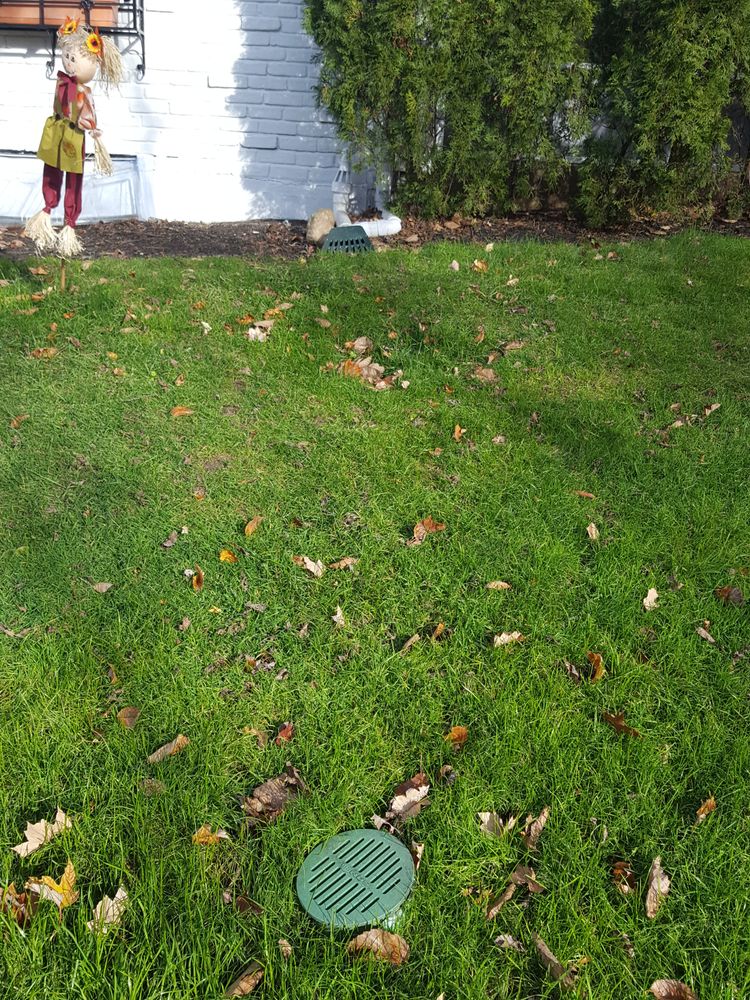 Photo of CityWide Plumbing - Sewer & Drain
