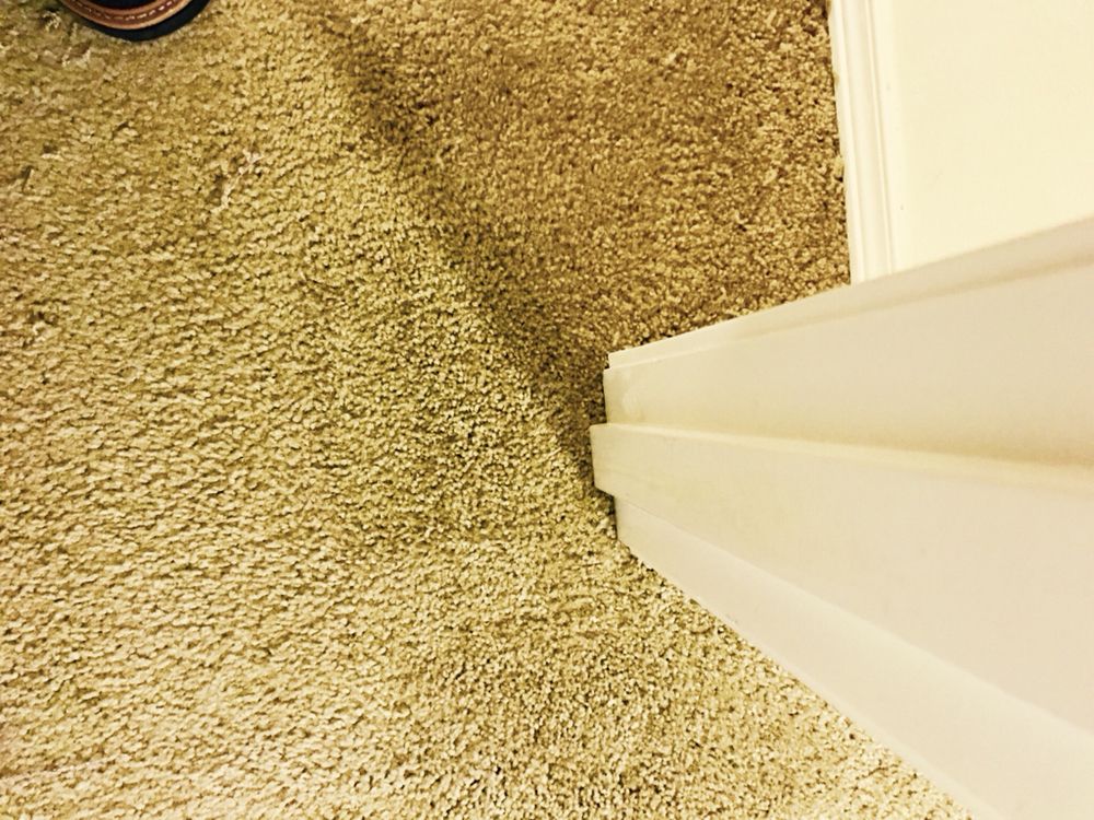 Photo of The Carpet Doctor