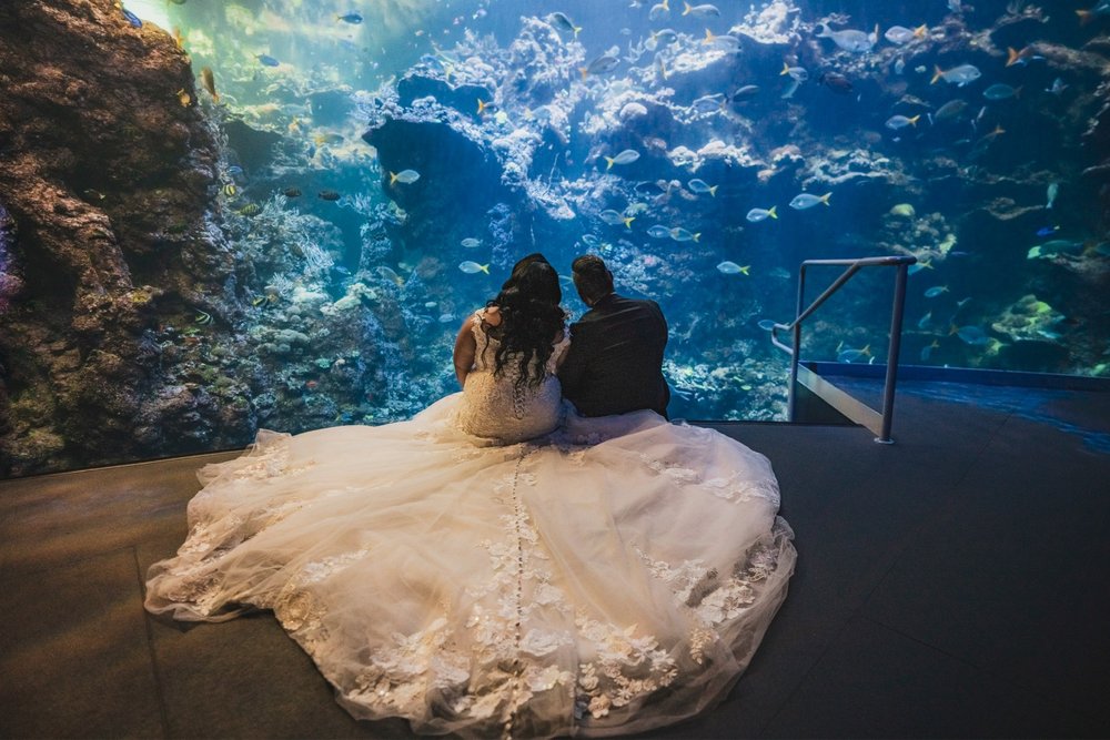 Photo of Visionary Events and Designs