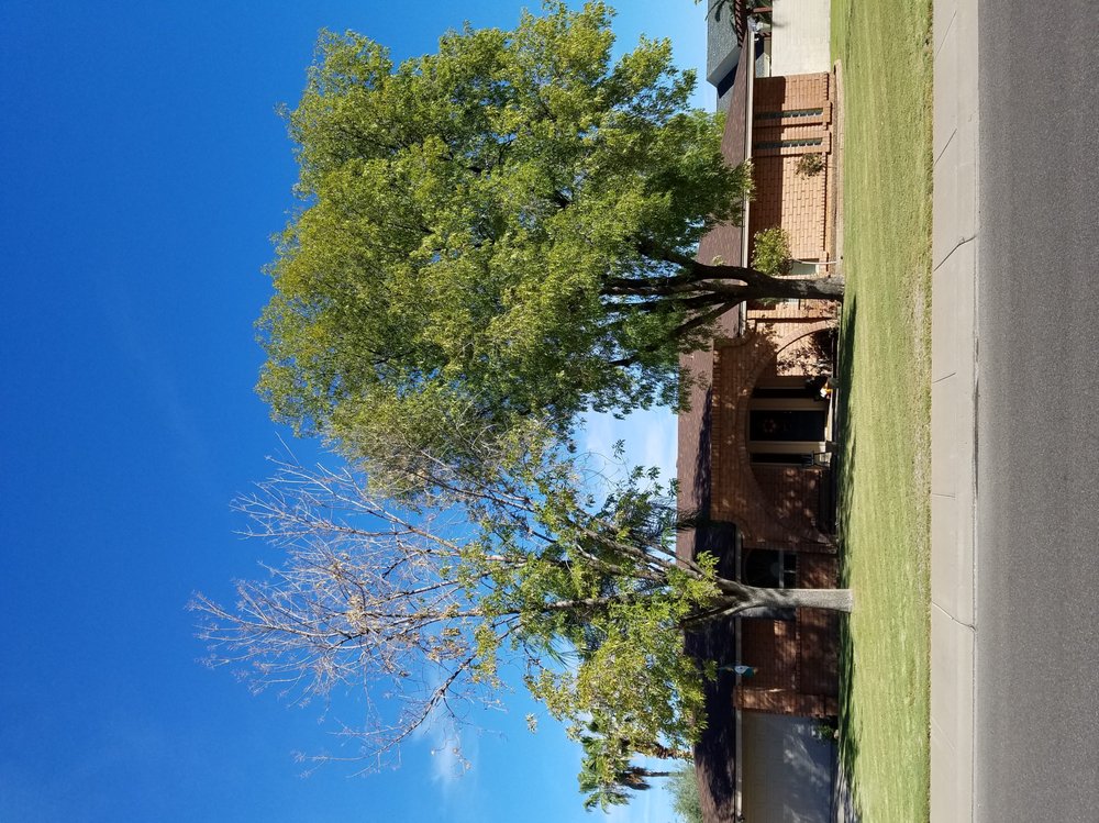 Photo of Organic Landscape Service