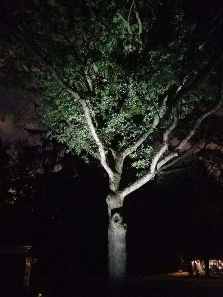 Photo of Moonscape Landscape Illumination