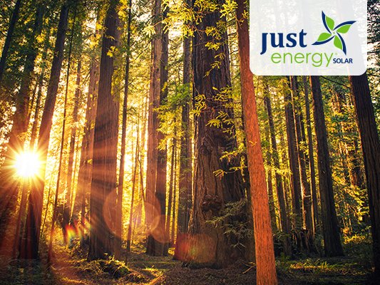 Photo of Just Energy Solar