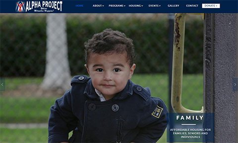 Photo of Jungle Studios Website Design