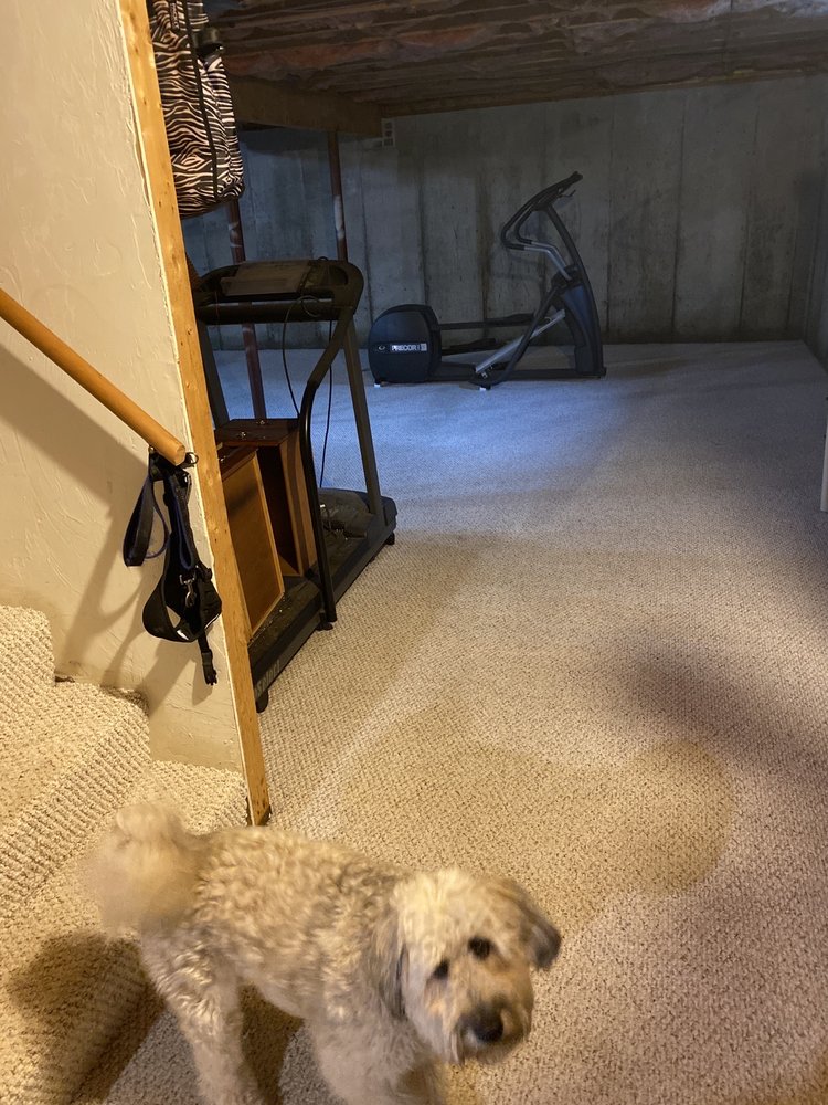 Photo of Amcho Carpet Cleaning