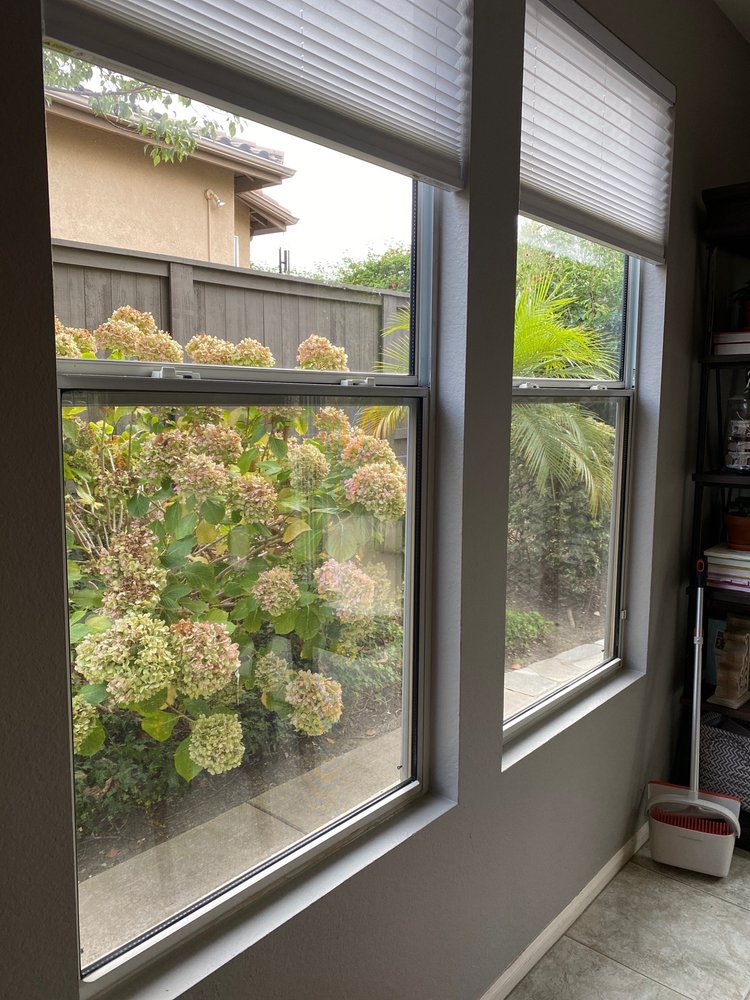 Photo of A New Look Window Cleaning