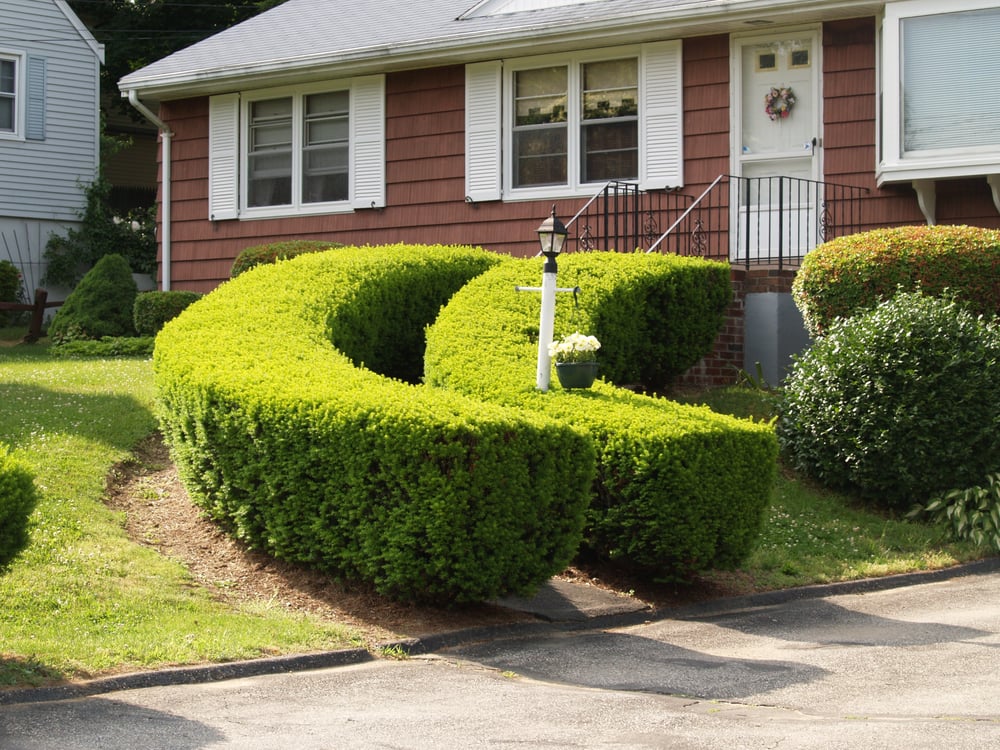 Photo of C & C Landscaping