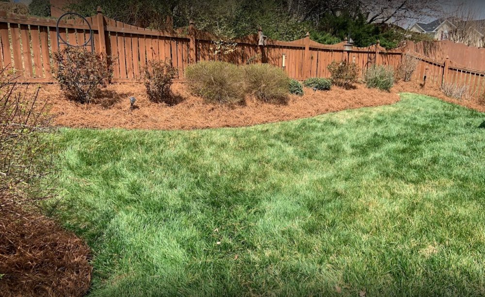 Photo of Total Lawn Care & Landscaping