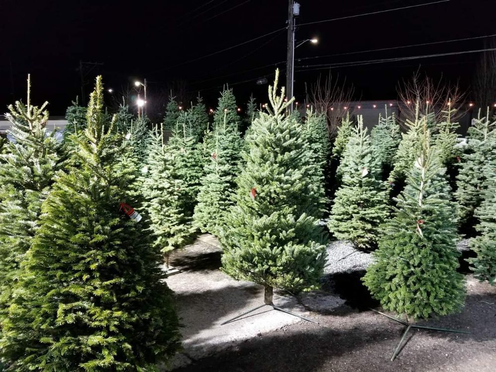 Photo of Northwest Landscape Supply
