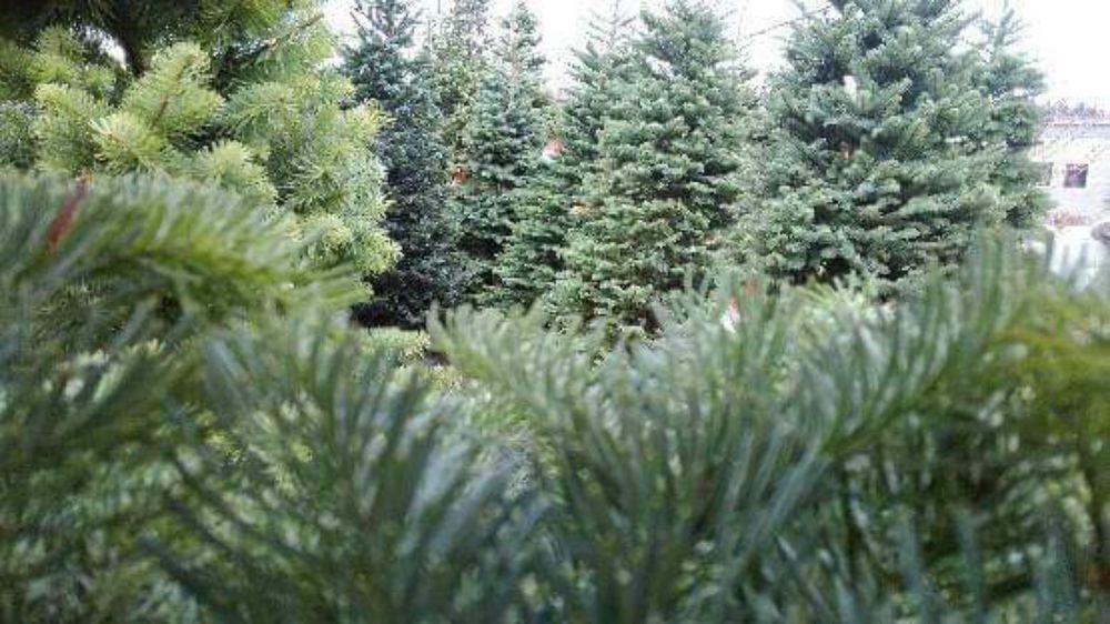 Photo of Northwest Landscape Supply
