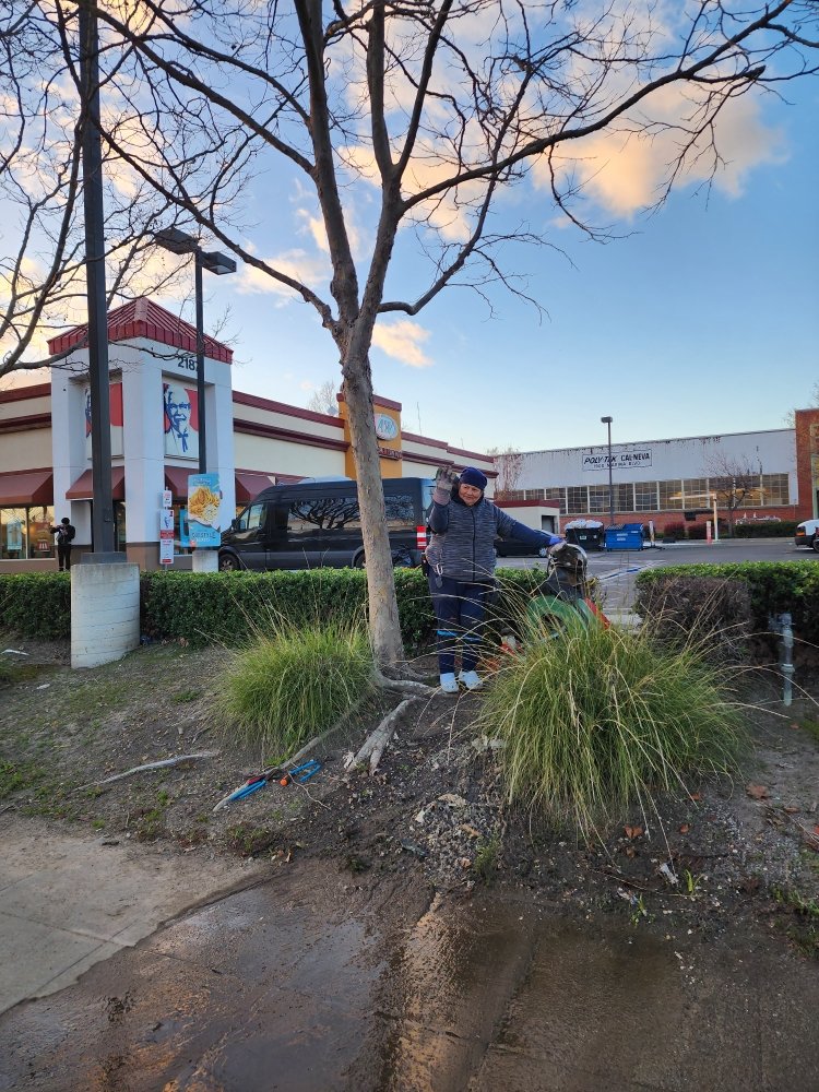Photo of J Carrillo Plumbing and Drains