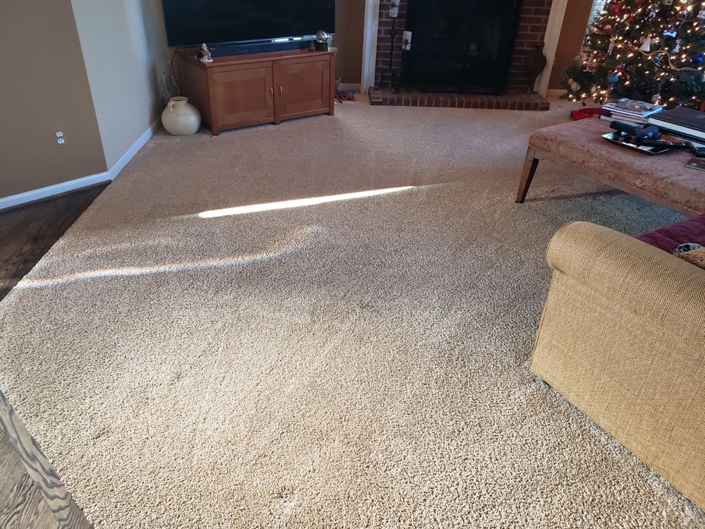 Photo of Cort Carpet Cleaning