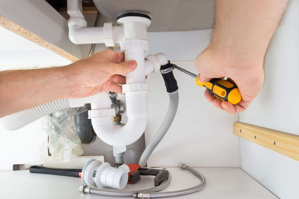 Photo of Plumbing Dog