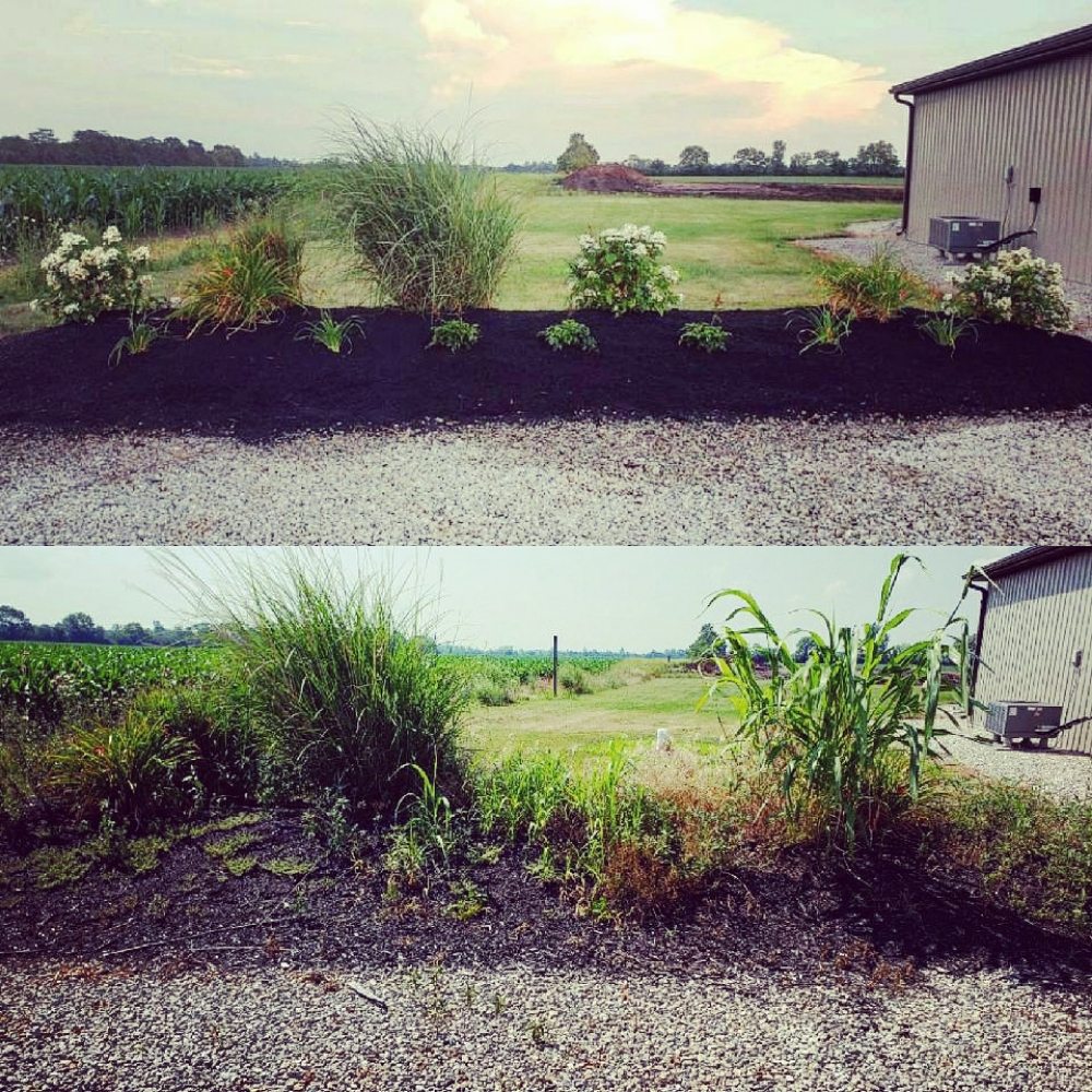 Photo of Breiner's Lawn and Landscape