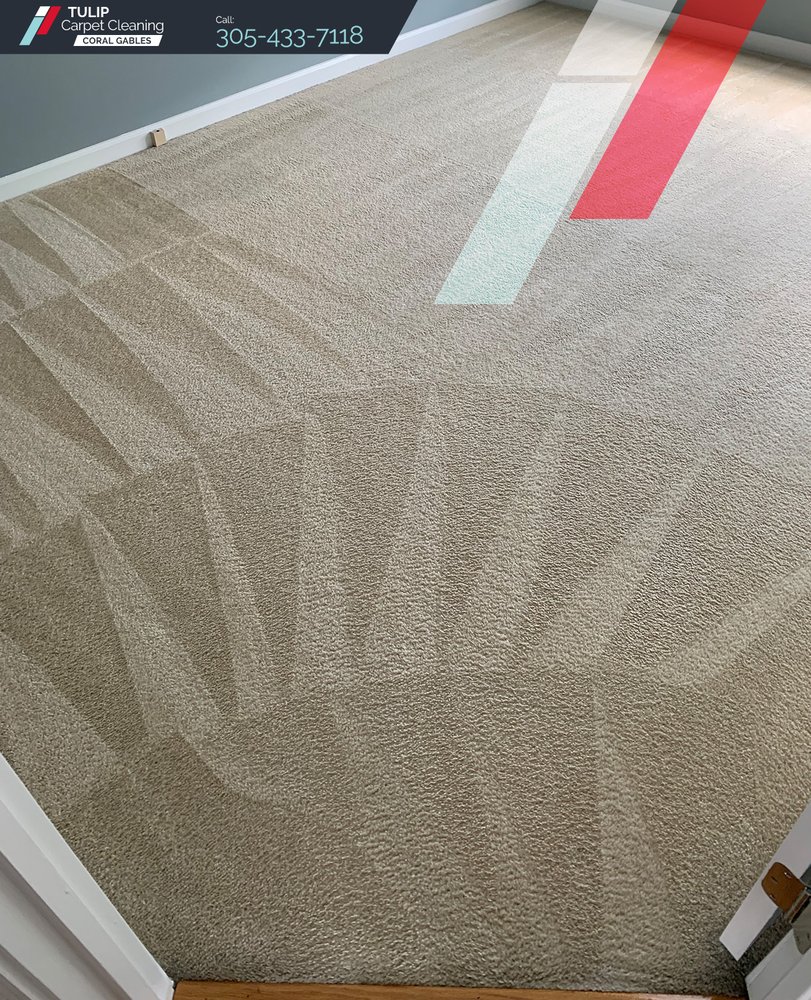 Photo of Tulip Carpet Cleaning Coral Gables