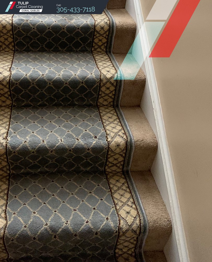 Photo of Tulip Carpet Cleaning Coral Gables