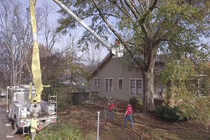 Photo of Harris Tree Service
