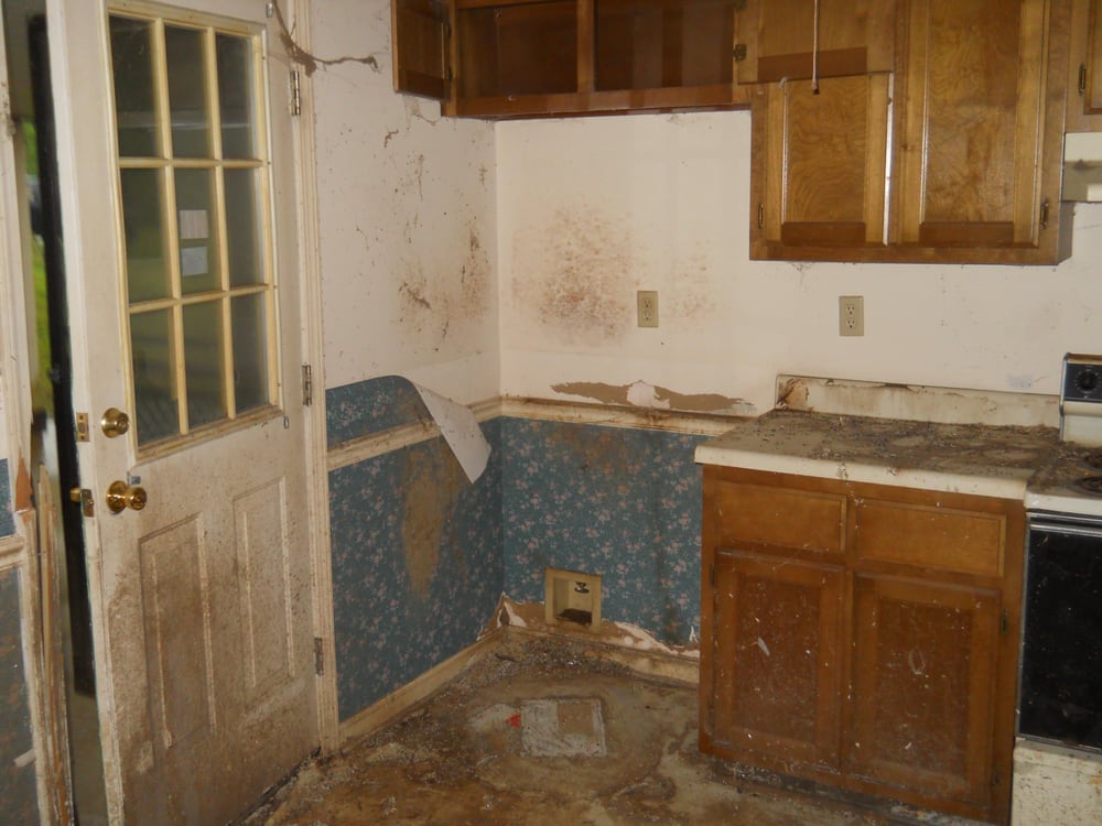 Photo of Certified Mold Consultants and Reconstruction