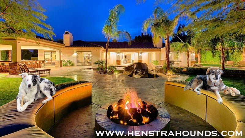Photo of Henstra Hounds Realty