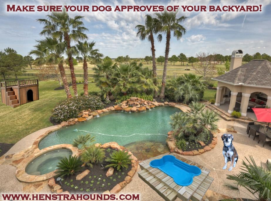 Photo of Henstra Hounds Realty