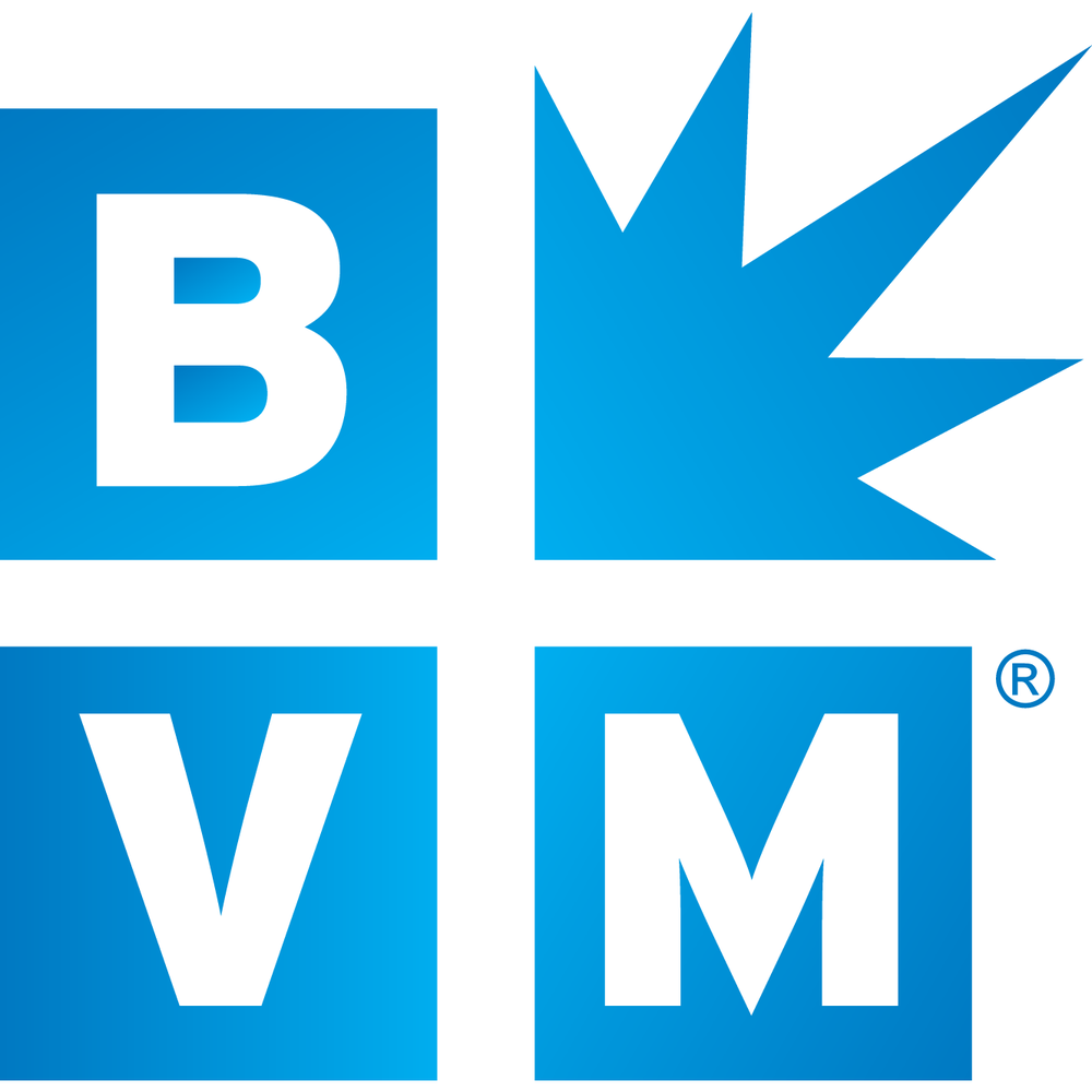 Photo of Best Version Media