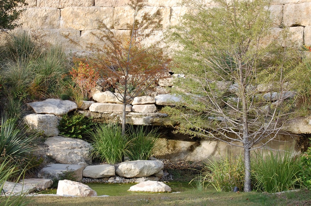 Photo of Structure Landscapes