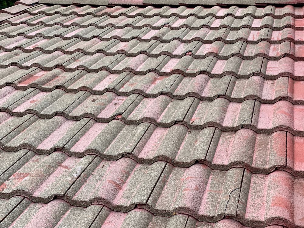 Photo of Gutter King