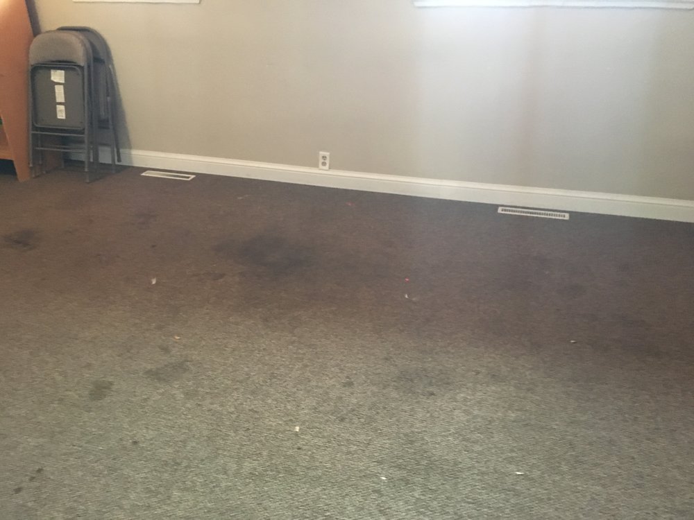 Photo of Oxi Fresh Carpet Cleaning