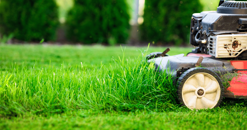 Photo of Cutting Edge Tree and Lawn