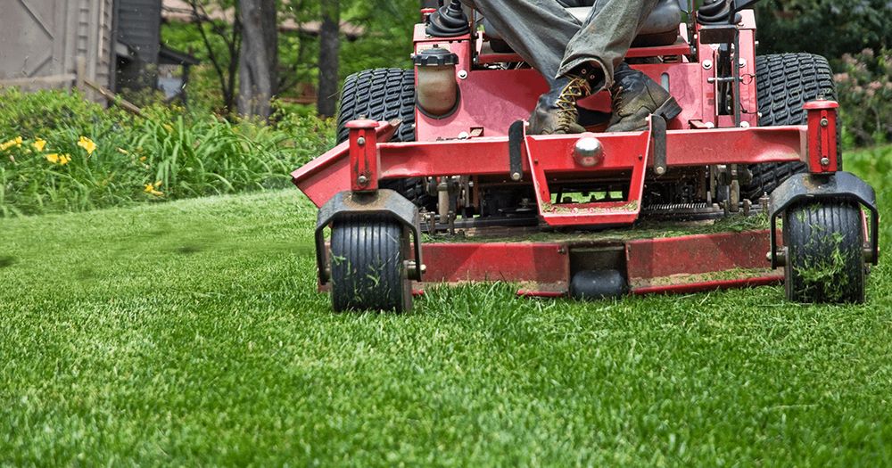 Photo of Cutting Edge Tree and Lawn