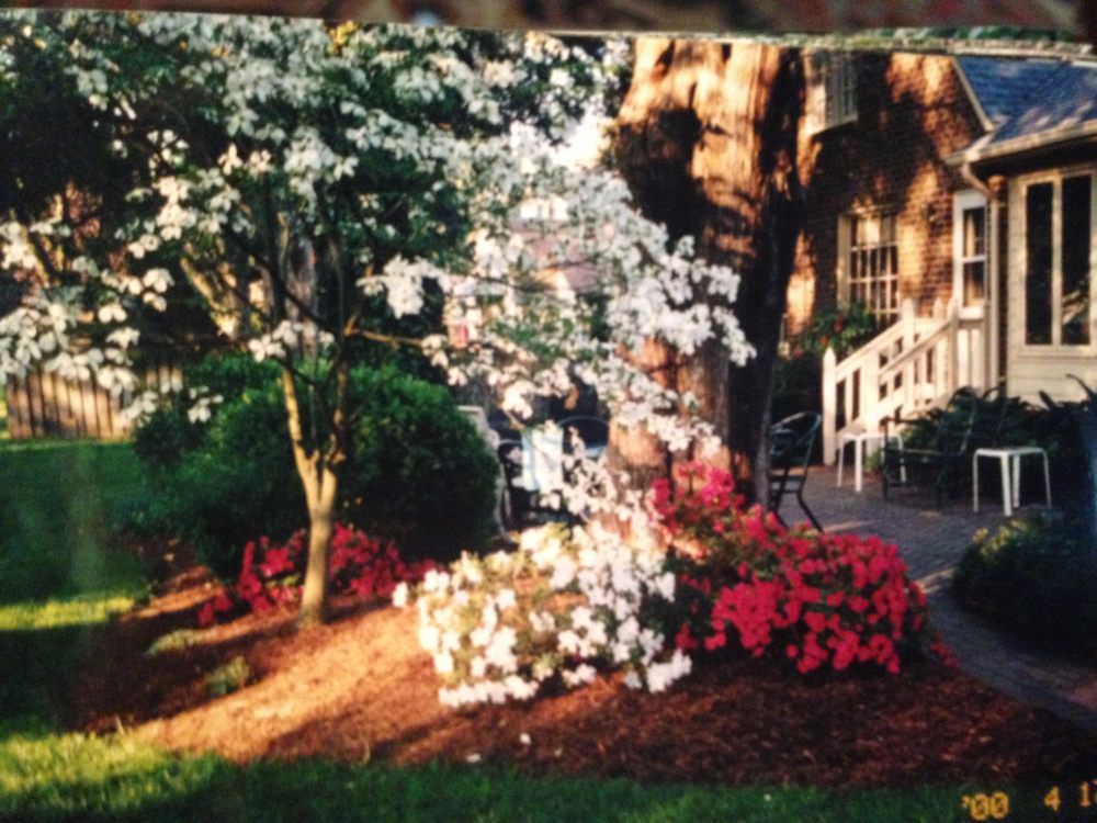 Photo of Carolina Landscaping
