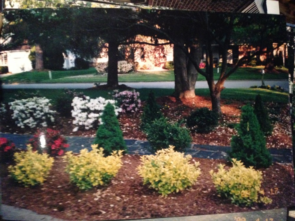 Photo of Carolina Landscaping