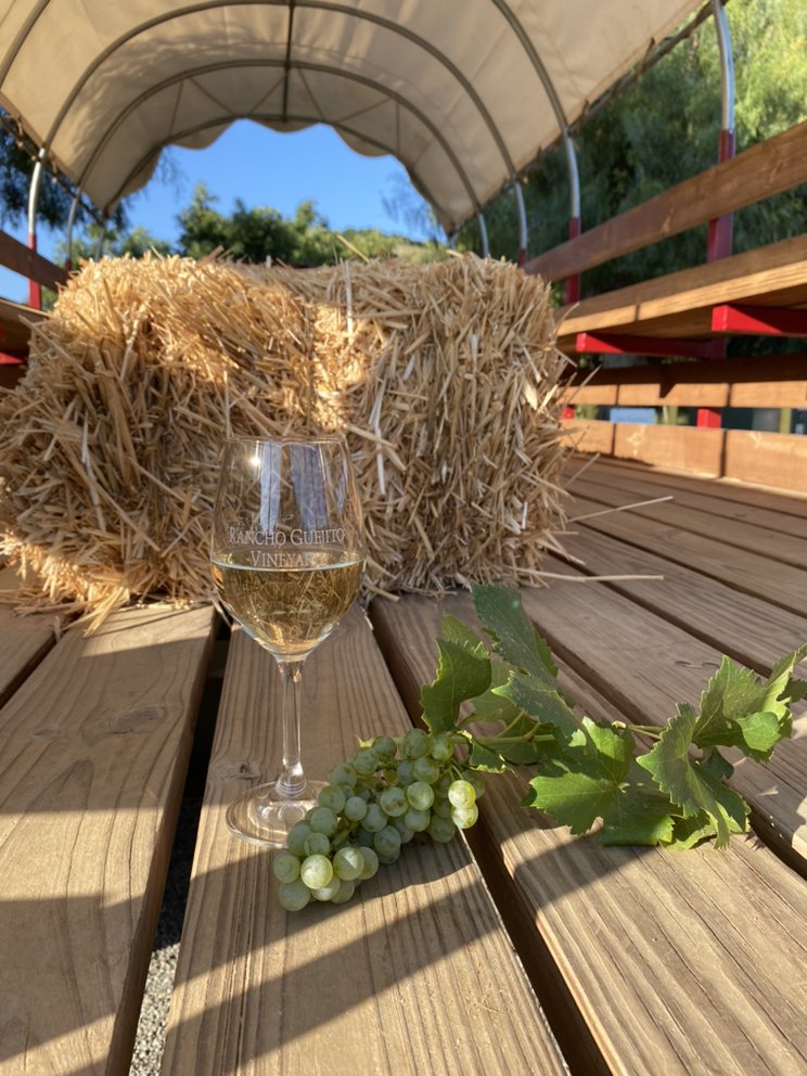 Photo of Rancho Guejito Vineyard