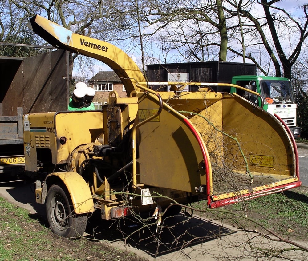 Photo of Los Angeles CA Tree Service