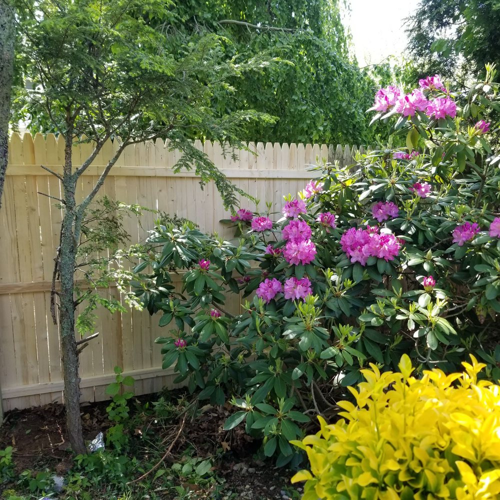Photo of Walt Whitman Fence