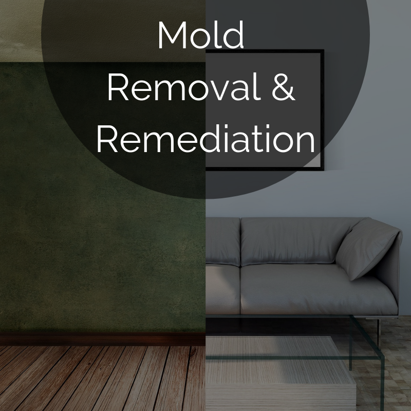 Photo of Allied Restoration Services