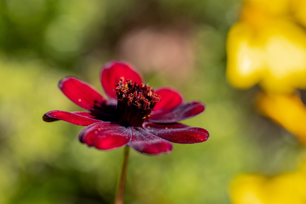 Photo of Gamble Garden