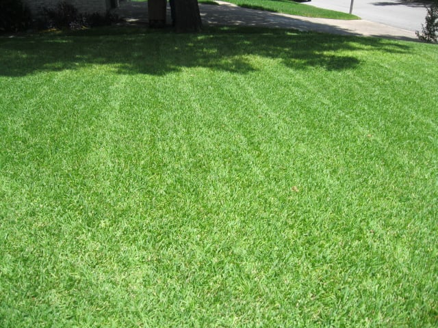 Photo of Quiet Cuts Lawn Service