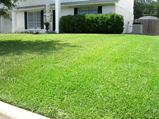Photo of Quiet Cuts Lawn Service
