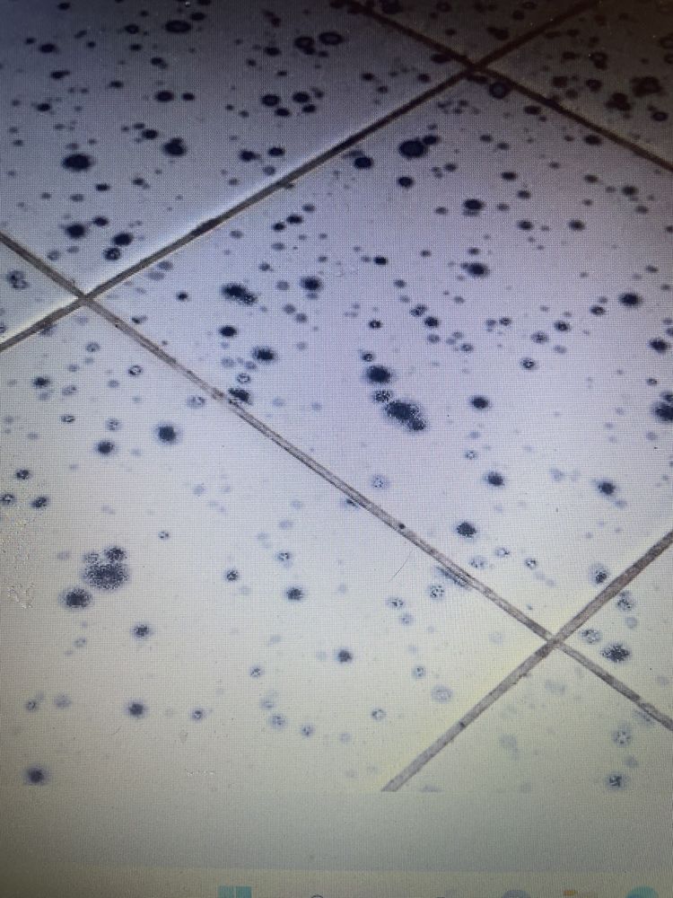 Photo of Anthony's Bath & Kitchen