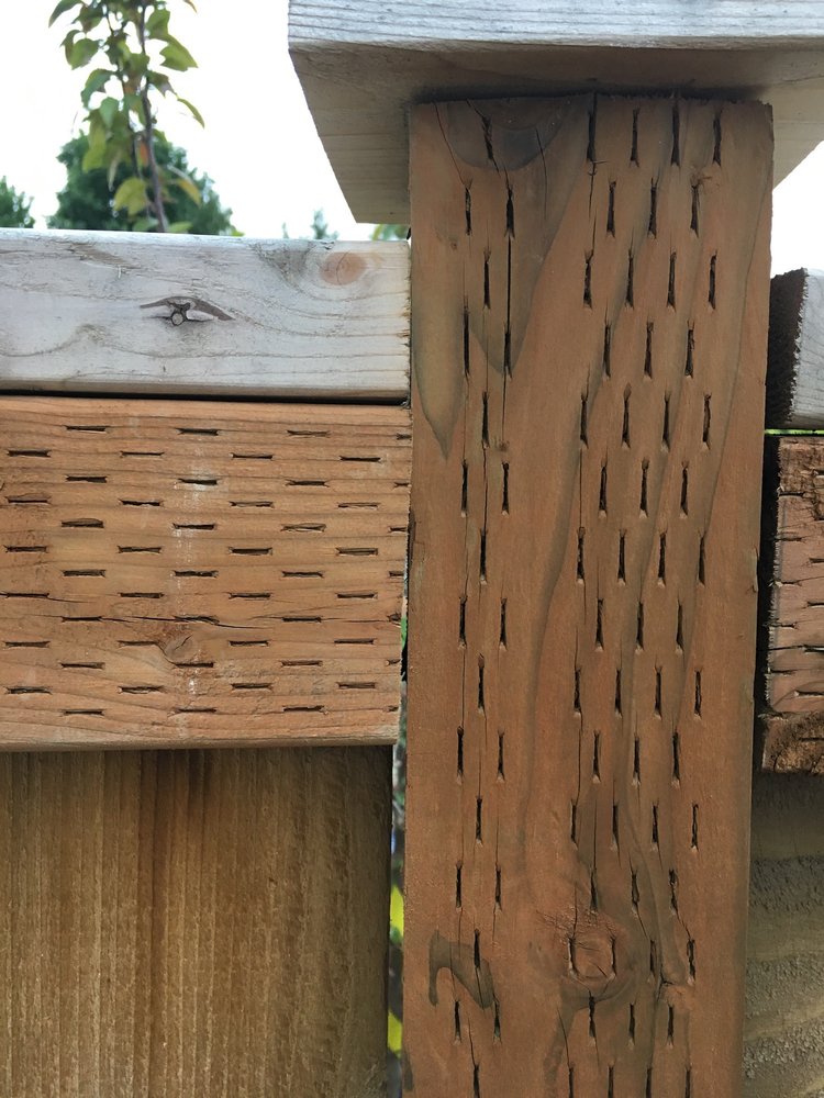 Photo of Olson's Outdoor Improvements