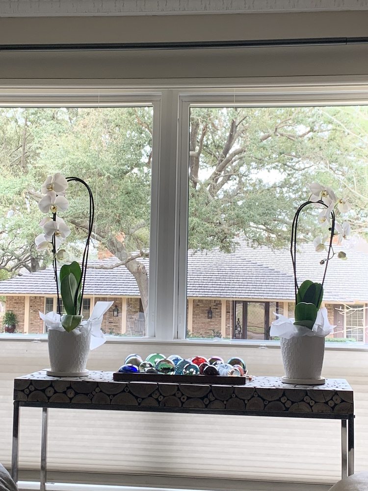Photo of Windows Heaven