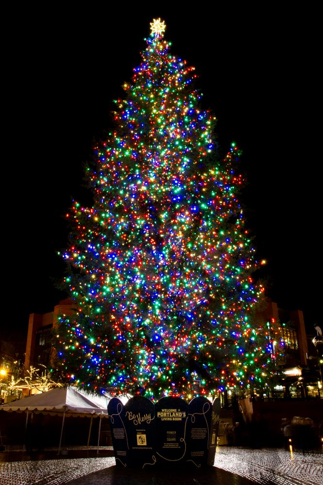Photo of Hollywood Lights
