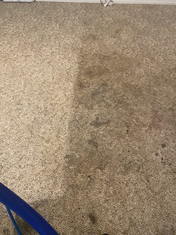 Photo of San Marcos Carpet Cleaning