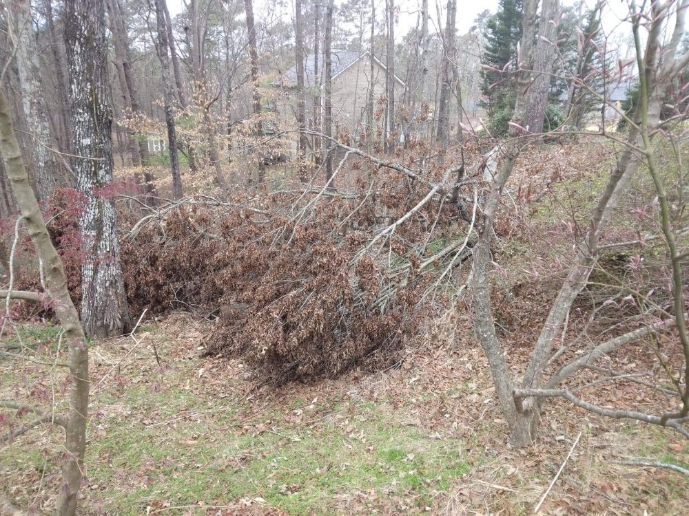 Photo of Brandon Enterprises