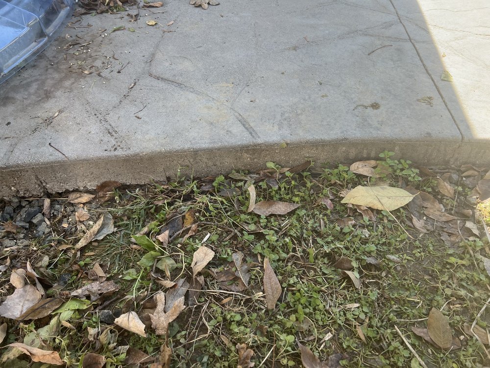 Photo of AAA Pools
