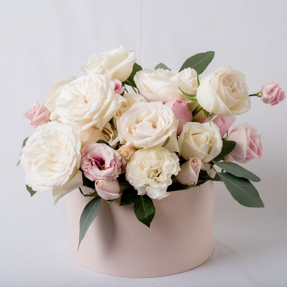 Photo of White On White